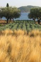 Jardins en Grèce