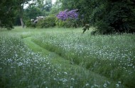 Parc en Ile-de-France