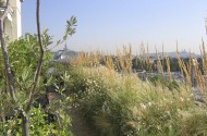 Terrasse aux Invalides