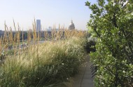 Terrasse aux Invalides