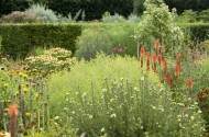 Jardins du château de Villandry - Touraine