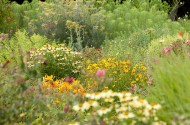 Jardins du château de Villandry - Touraine